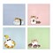 Wrapables Funny Chipmunks Sticky Notes, Adhesive Memo Notepads for Home, Office, Work (Set of 4)